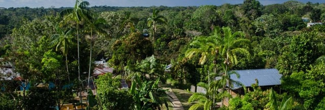 Excursion de 4 jours à Puerto Nariño et Mocagua
