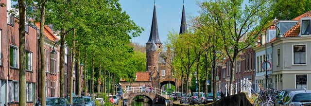 Free tour dans Delft