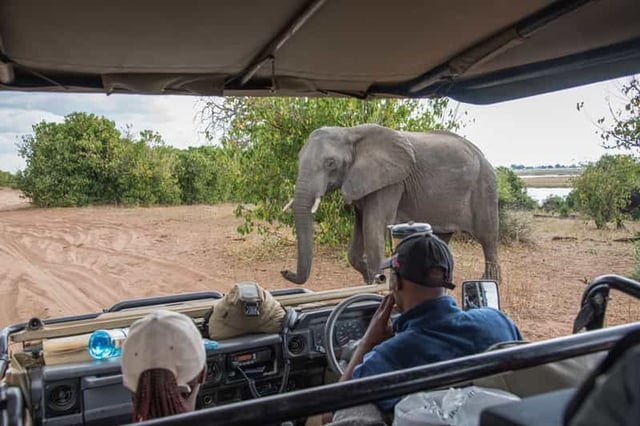 Parc national de Chobe : Excursion d'une journée avec croisière sur la rivière