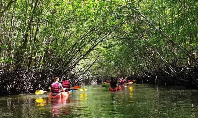 Ko Lanta : Visite d'une demi-journée en kayak dans la mangrove avec déjeuner