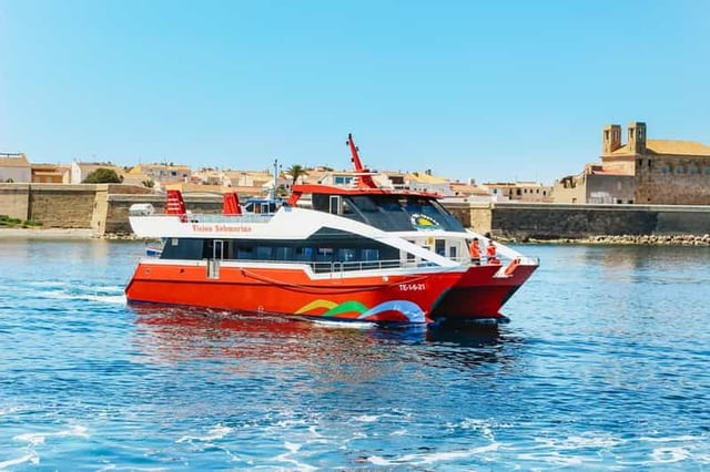 Depuis Alicante : Aller-retour à l'île de Tabarca