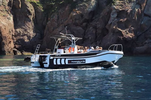 Calvi à Scandola : tour en bateau de 4 heures