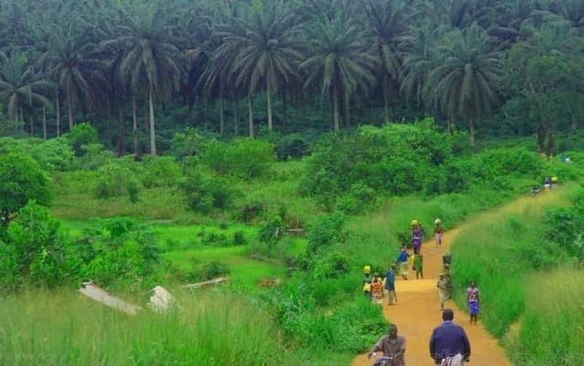 Depuis Freetown : excursion à Bunce et à l'île de Tasso