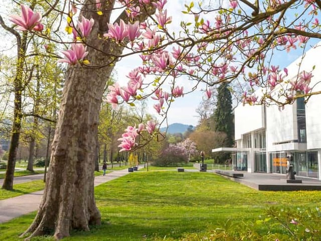 Baden-Baden : visite guidée à pied des sites touristiques