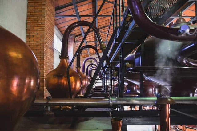 Jarnac : Découverte du cognac Braastad