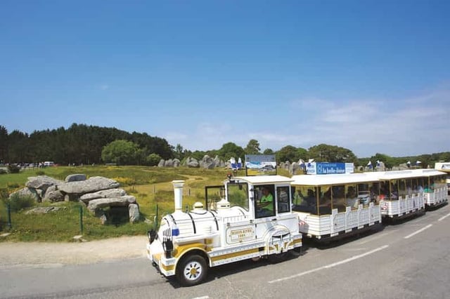 Visite de Carnac : Merveilles mégalithiques et La Trinité Sur Mer