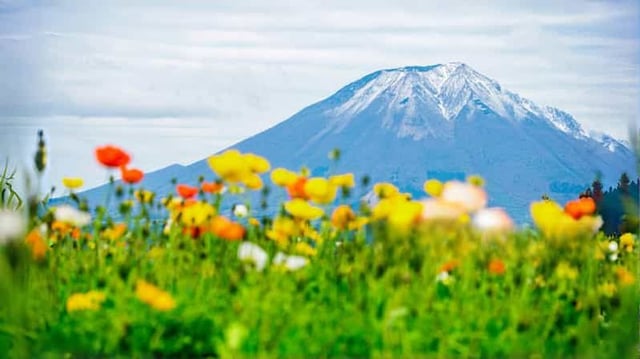 Tokyo : excursion d'une journée à la 5e station du mont Fuji et aux sources chaudes | Offre spéciale saisonnière