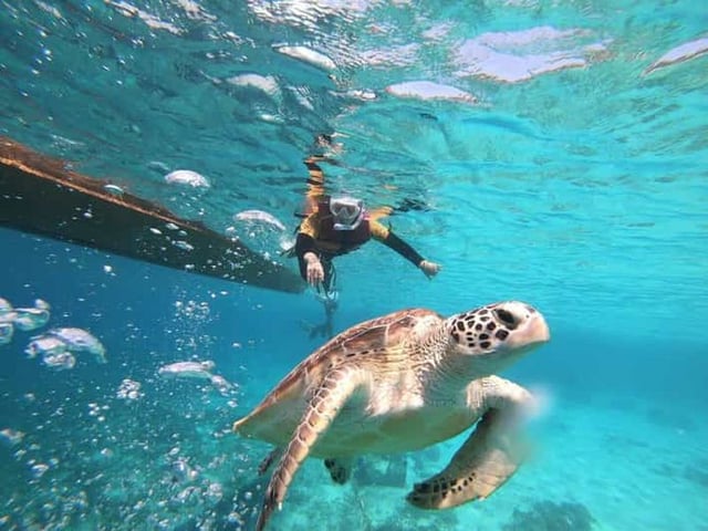 Îles Gili : Excursion privée ou partagée en bateau de plongée avec tuba