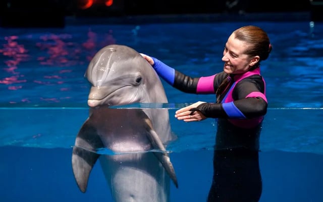 Billets coupe-file pour l'Aquarium de Géorgie