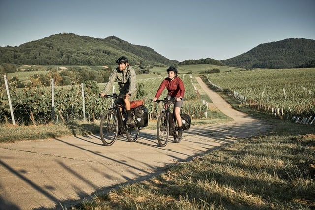 Location de vélos chez Cachera