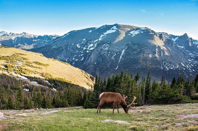Découvrir le parc national des Rocheuses