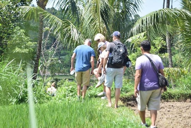 Visite à pied de Tetebatu - Rizières en terrasses, cascade et forêt des singes