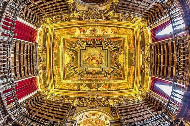 Visites guidées de l'Université de Coimbra sans file d'attente