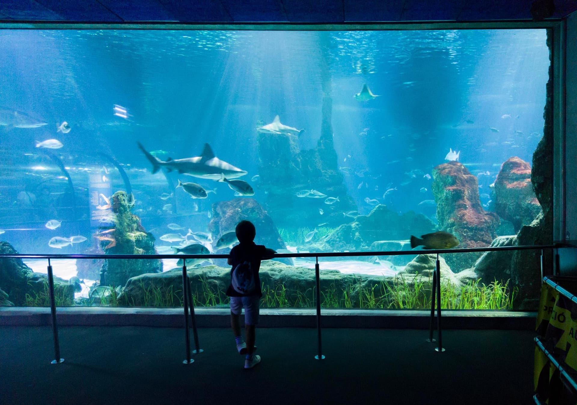 Aquarium de Barcelone