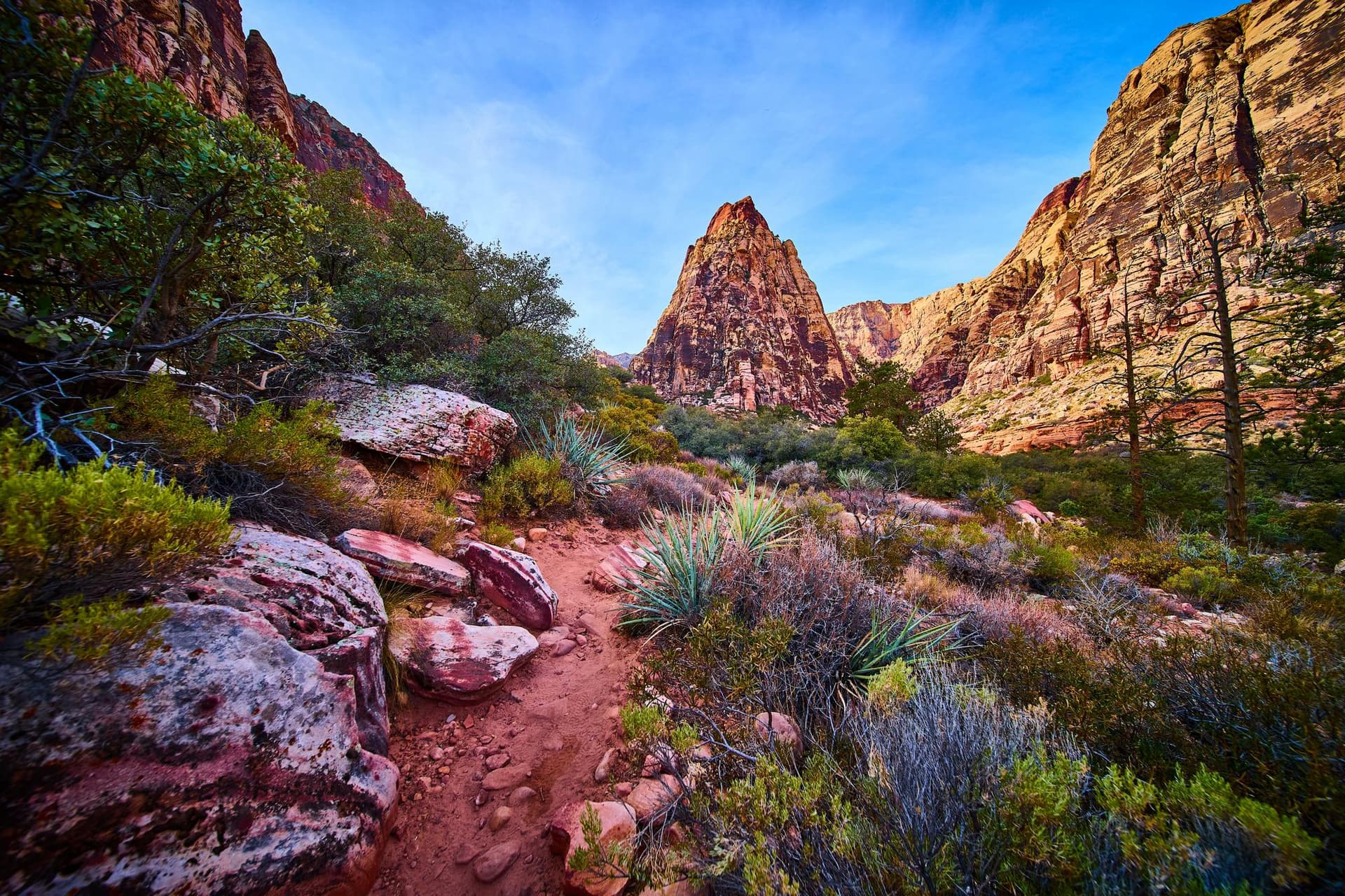 Red Rock Canyon