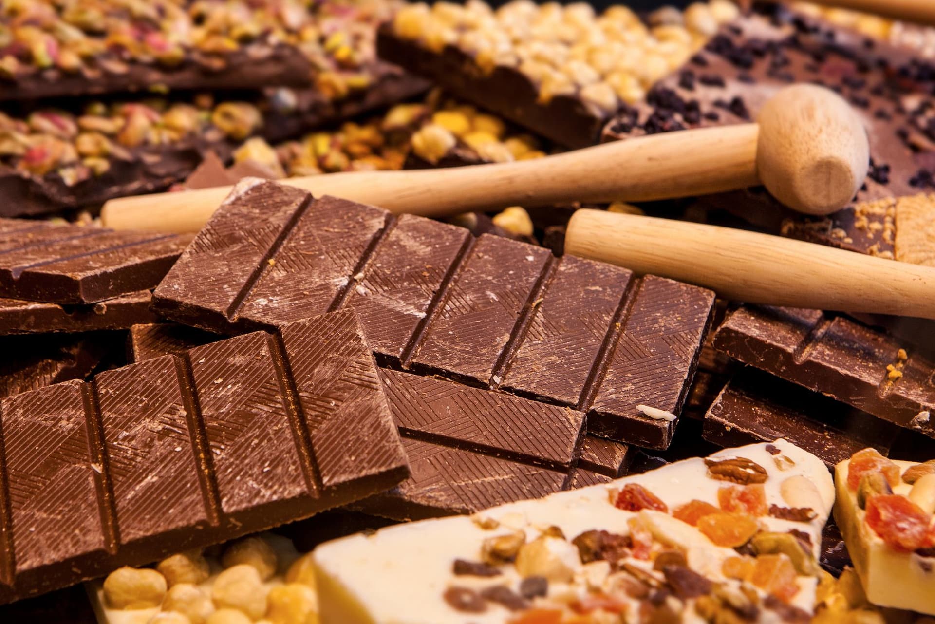 Dégustation de chocolats