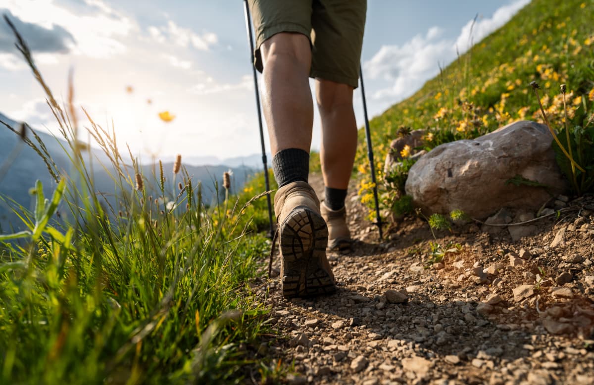 Activités terrestres