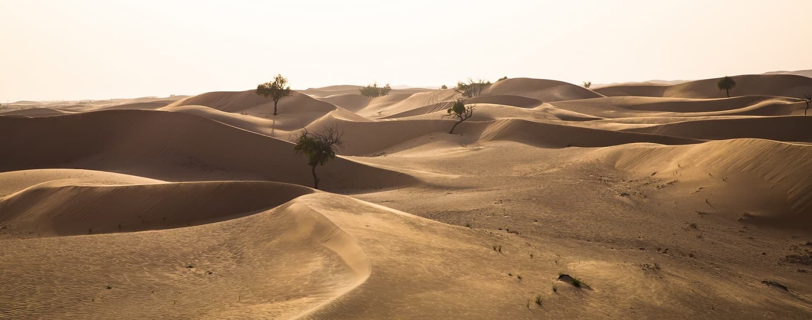 Émirats Arabes Unis