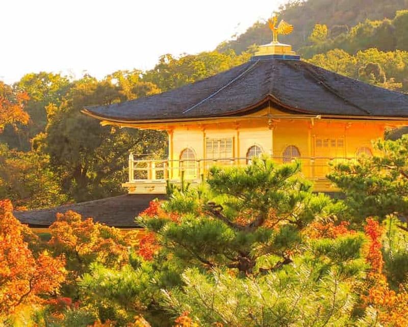 Billet Kyoto : Kinkaku-ji Feuilles d'automne visite guidée 90 minutes
