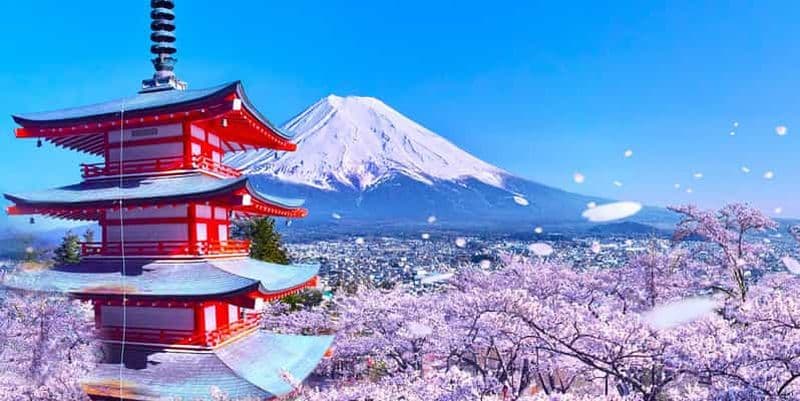 Billet Tokyo : visite en bus du mont Fuji, du lac Kawaguchi et d'Oshino Hakkai