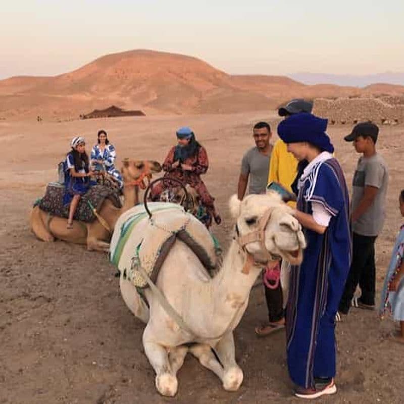 Billet Marrakech : Agafay - Randonnée dans le désert en quad et à dos de chameau avec dîner-spectacle