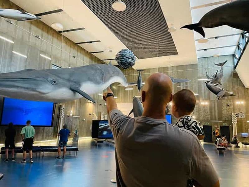 Billet Caniçal : billet d'entrée au musée de la baleine de Madère