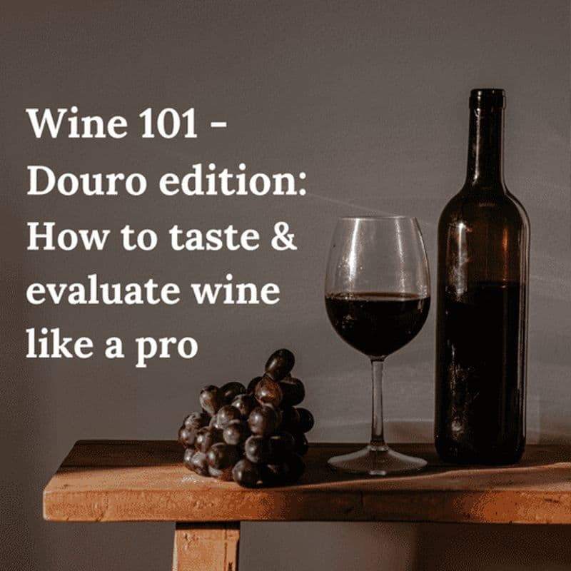 Billet Vin 101 - Douro : comment déguster et évaluer le vin comme un professionnel