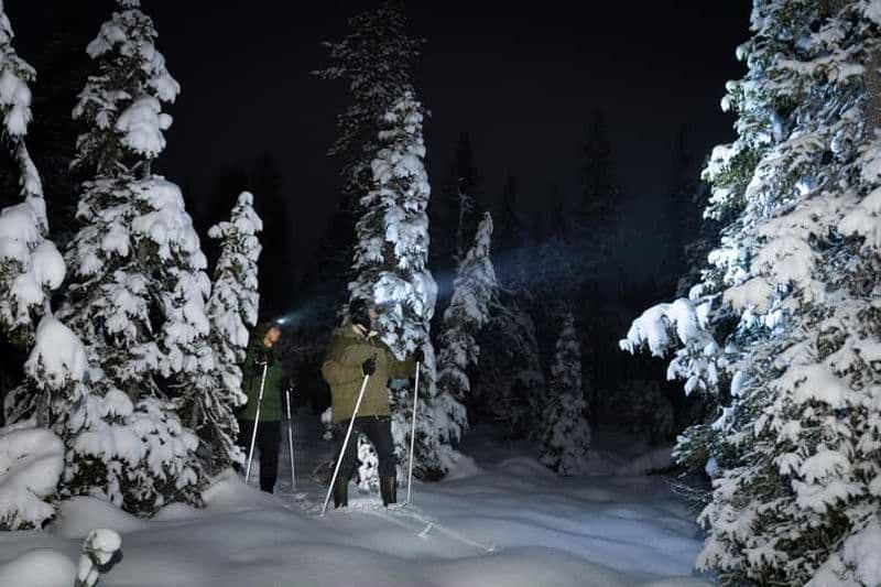 Billet Randonnée à ski en soirée dans la nature sauvage - Très petit groupe