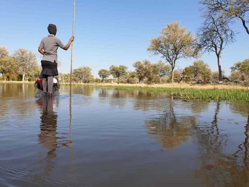 Billet Maun: visite du delta de l'Okavango Mokoro et promenade dans la brousse