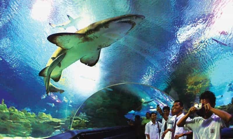 Billet Kuala Lumpur : Billet d'entrée pour Aquaria KLCC