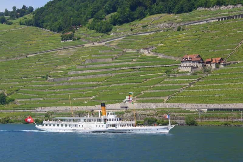 Billet Lausanne : Croisière de 2 heures sur le lac Léman, le long des vignobles de Lavaux