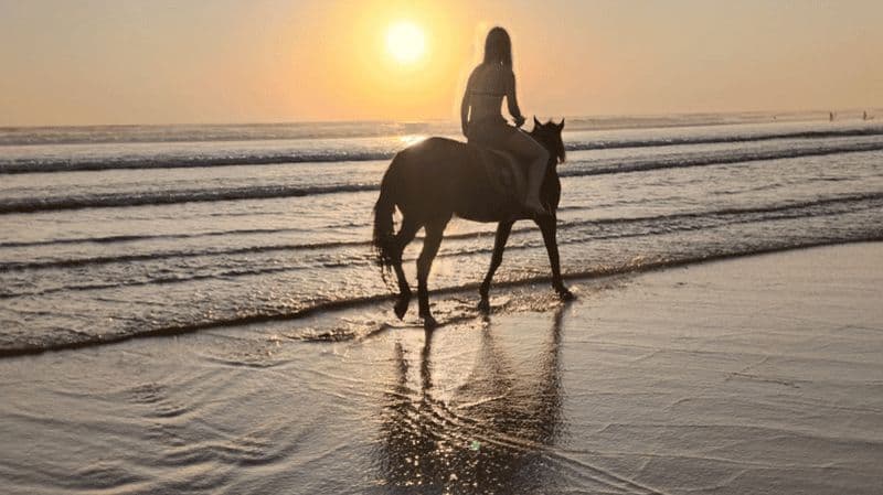Billet Bali : Randonnée à cheval sur la plage de Seminyak