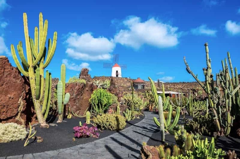 Billet Lanzarote : El Jardín de Cactus billet d'entrée