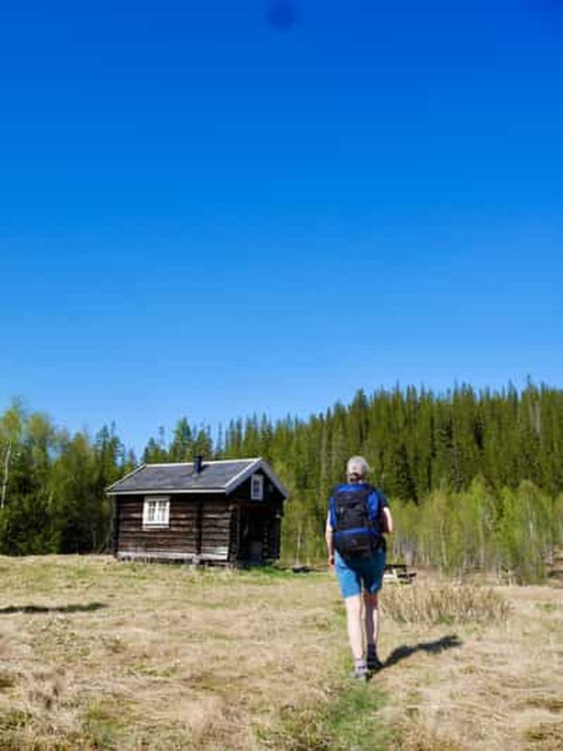 Billet Trondheim : Aventure d'une nuit dans une cabane forestière