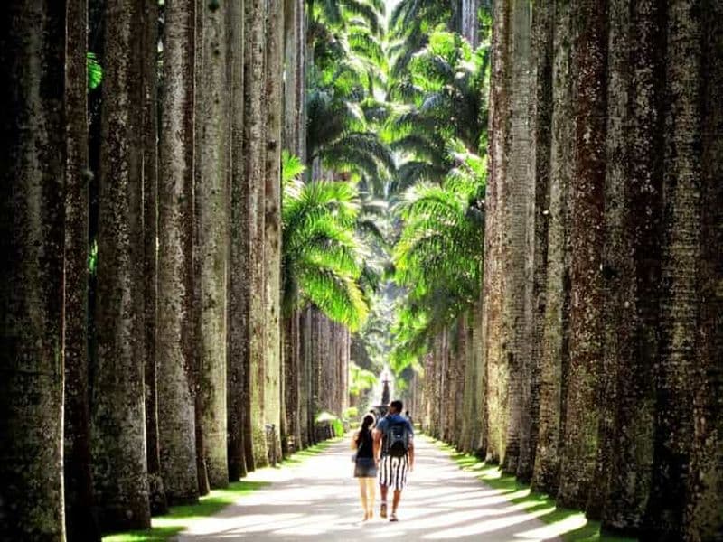 Billet Rio de Janeiro : Visite guidée du jardin botanique et du Parque Lage