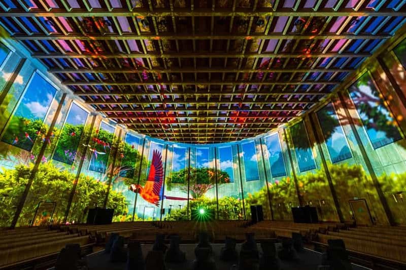 Billet Zurich : Pixel Zoo Jungle - Un voyage immersif à travers les forêts tropicales