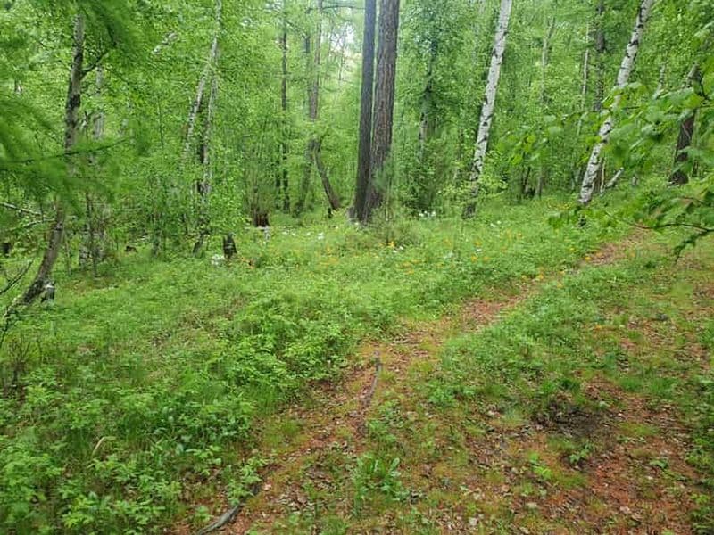 Billet Excursion d'une journée au parc national de Terelj et à la statue de Chinggis Khaan