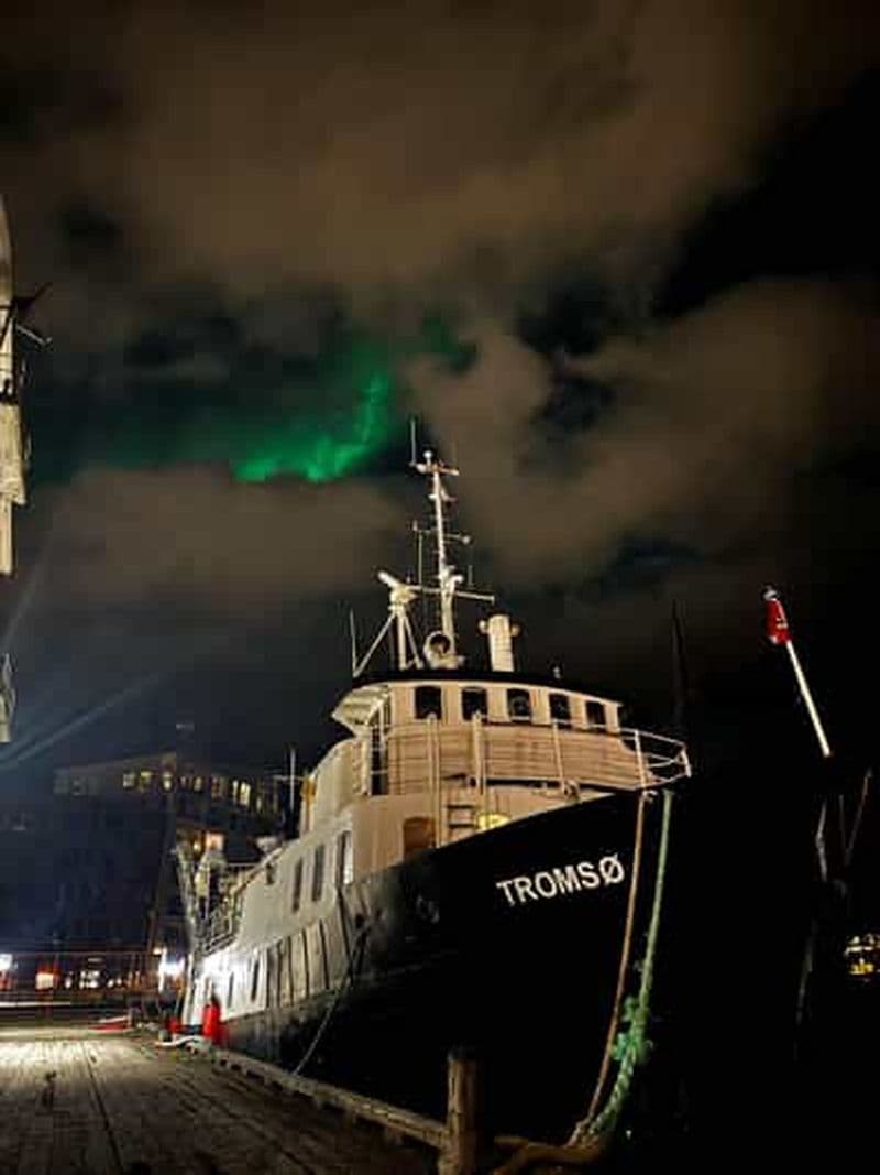 Billet Tromsø : Croisière d'expédition polaire de mi-journée