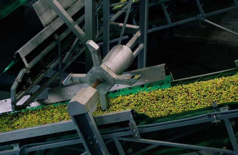 Billet Casa Relvas, Vidigueira : Programme de la campagne de l'olive