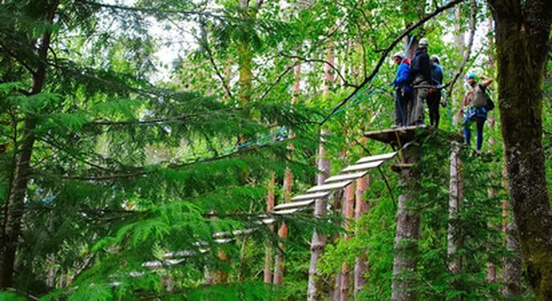 Billet Activités nature (Escalade, accrobranche et Tyrolienne) à Castro Laboreiro au nord du Portugal