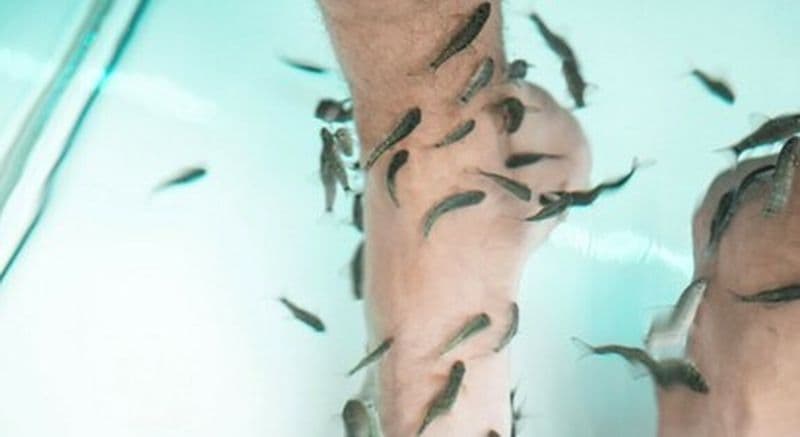 Billet Fish pédicure à Angers