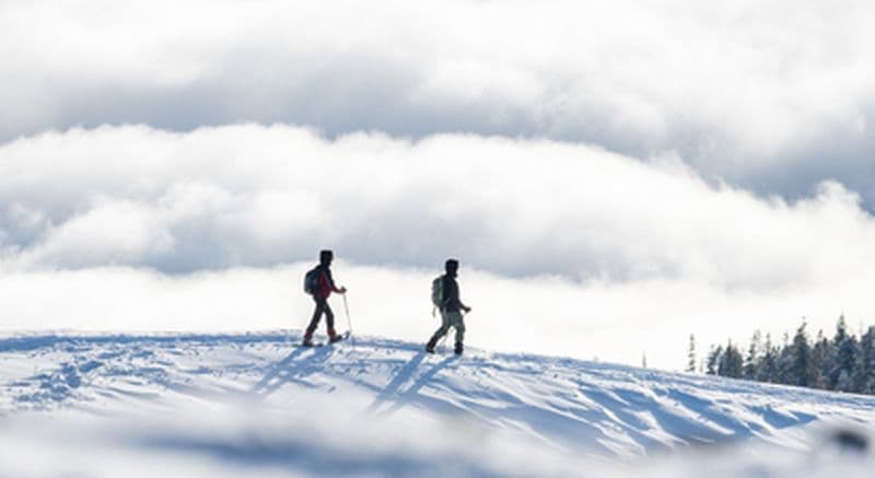 Billet Randonnée en raquettes au Col d'Aubisque à la vallée d'Ossau