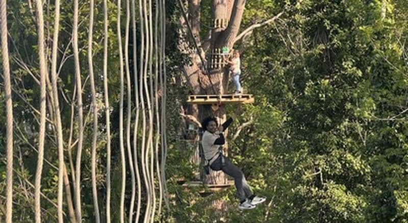 Billet Accrobranche à Rouen