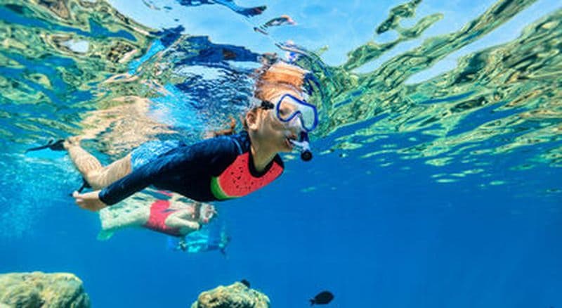 Billet Snorkeling près de Collioure