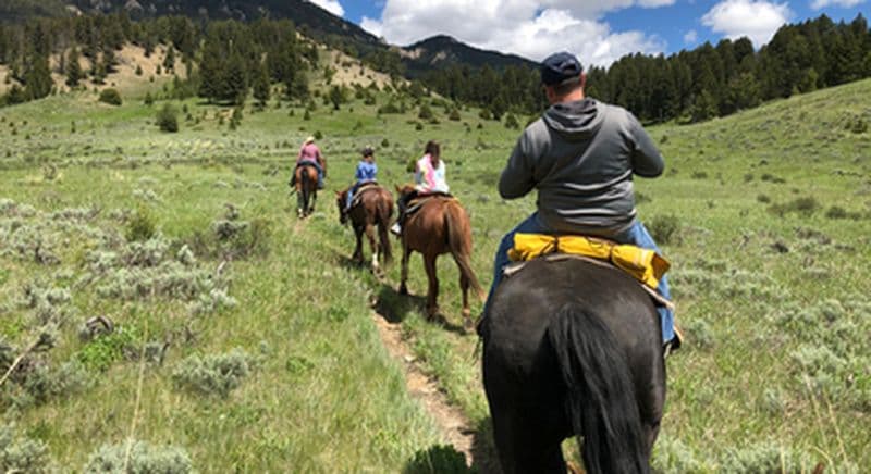Billet Randonnée à cheval et apéro de trois heures dans les sentiers Savoyard à Cruseilles