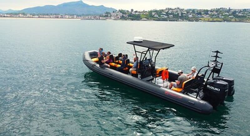 Billet Balade escapade en bateau depuis le port de Saint-Jean-de-Luz vers Fontarabie