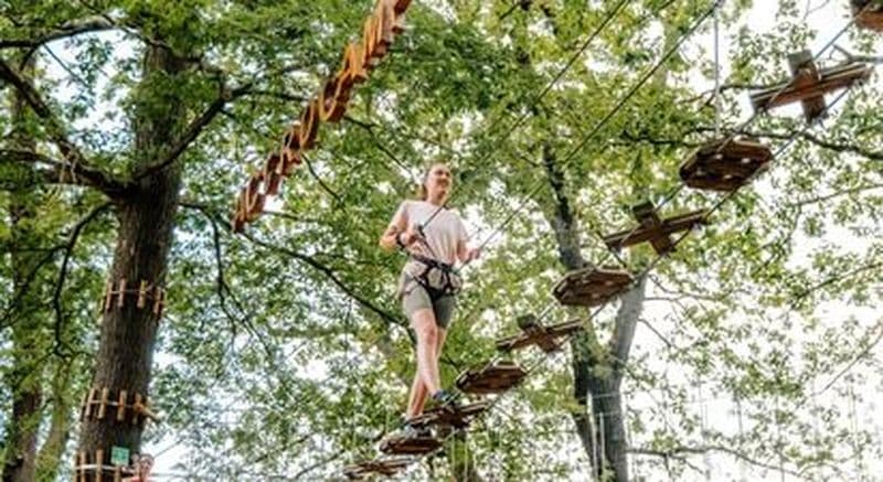 Billet Parcours accrobranche à Saint Germain-en-Laye