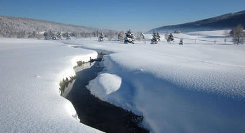 Billet Journée rando-balade en raquettes dans le Jura