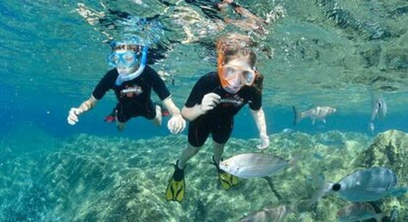 Billet Snorkeling à Calvi, club de plongée L'Hippocampe