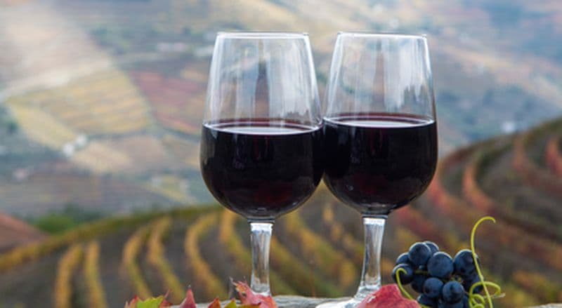 Billet Dégustation de vins et atelier œnologique à Toulon